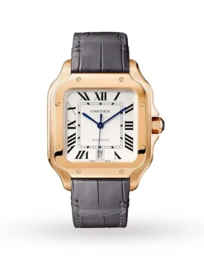 0A688845-4773-B265-1C6B-3A0DFF4E6E9D.webp Cartier Santos de Cartier Men Automatic Silver Alligator Watch WGSA0019