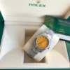 Couple Watches Rolex Oyster Perpetual 31/41mm SS/SS Yellow/Stk