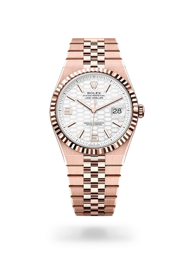 Rolex Land-Dweller 40 Intense White