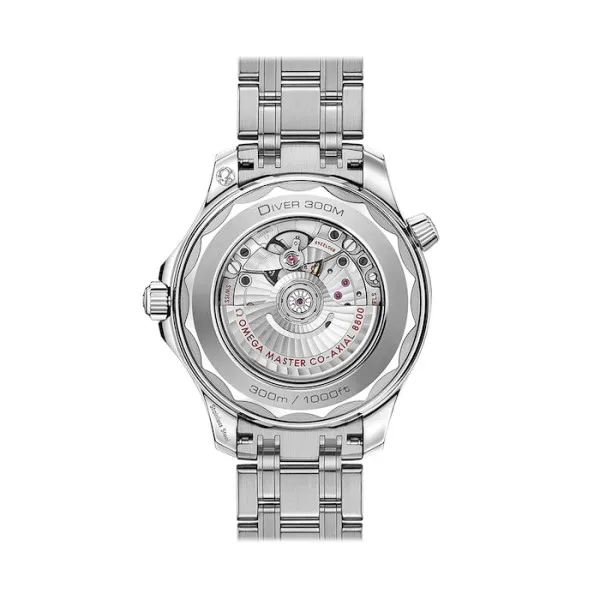 5E8BDAA7-8A99-FA76-F880-8DDA49690AC8.webp Omega Seamaster Men Automatic Black Stainless Steel Watch O21030422001001