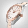 6B4F6EB3-71F5-D99D-A8F3-BBCF8CE6AB48.webp Omega Seamaster Aqua Terra Men Automatic Silver Stainless Steel 18ct Rose Gold Watch O22020412102001
