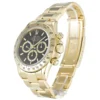 Rolex Daytona 40mm Black Dial 116528