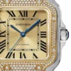 Cartier Santos de Cartier Women Automatic Gold Watch W3SA0007
