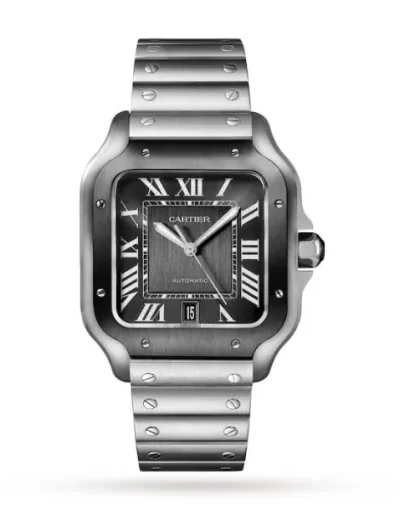 D1B5CB47-7EEB-ED7C-91FF-611C0288DAFB.webp Cartier Santos de Cartier Men Automatic Grey Stainless Steel Watch WSSA0037